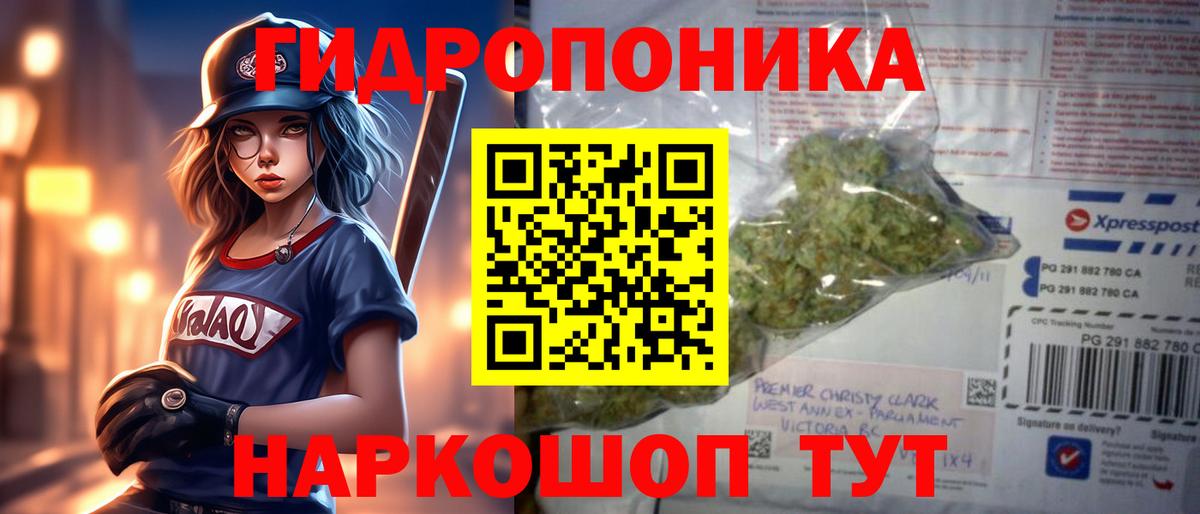 МАРИХУАНА план  Шишки марихуана VHQ  Вязьма  Бошки марихуана сатива  Вход с VPN  Бошки Шишки Amnesia 